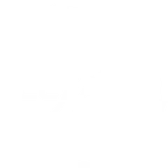 CLEATS